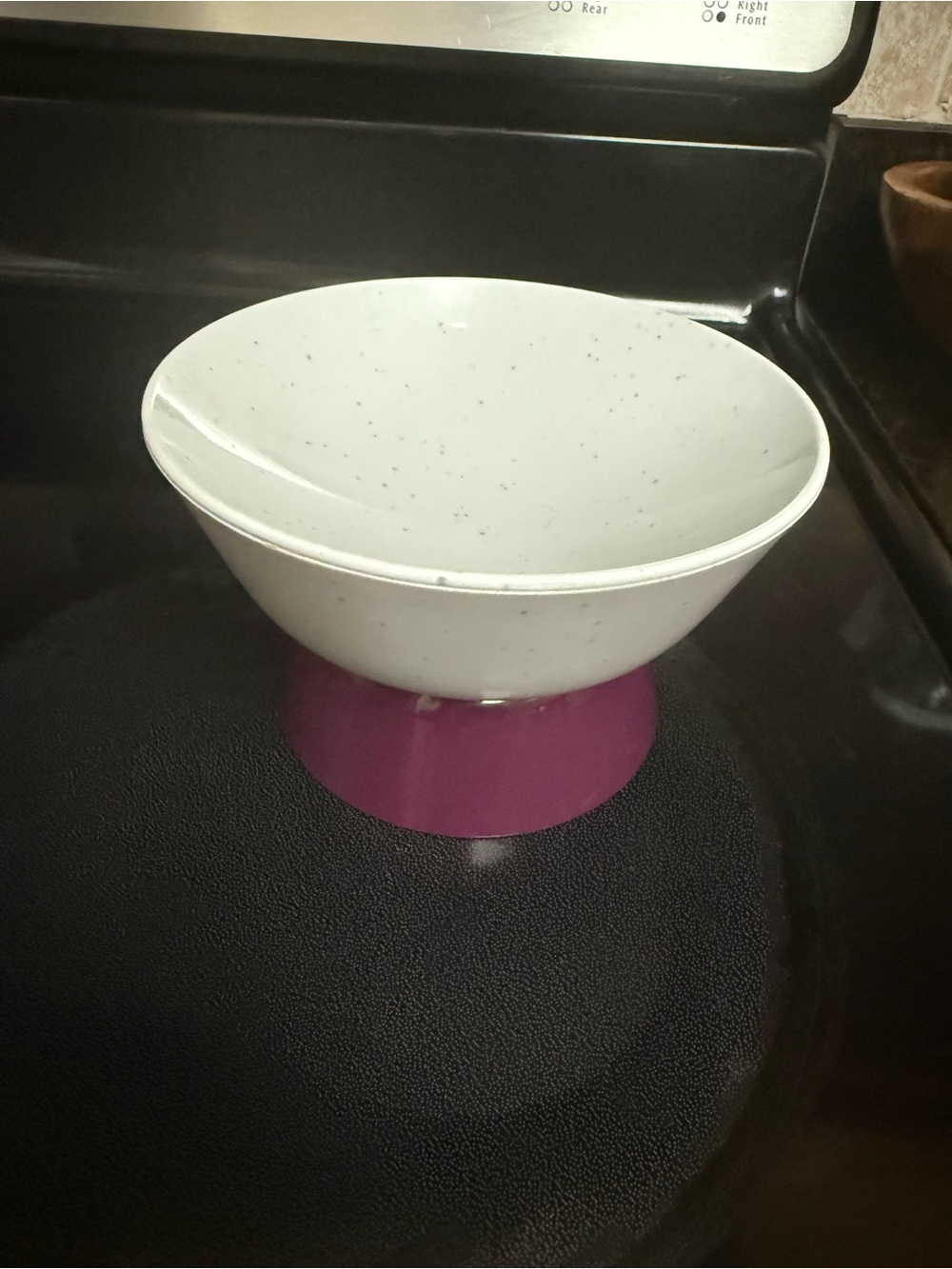Cat Person Purple and Blue Pet Bowl